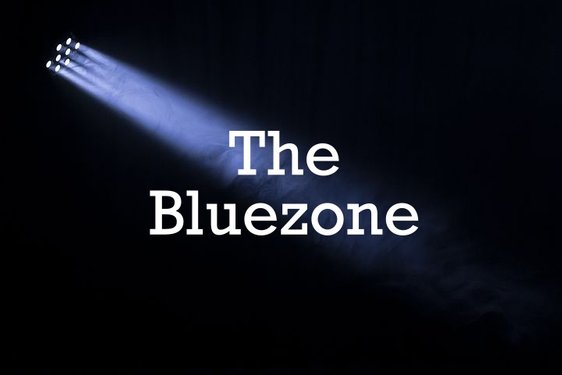 The Bluezone Band
